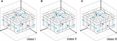 Leaf-size control beyond transcription factors: Compensatory mechanisms